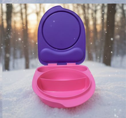 a31d66ab-49bd-4440-b220-7d363279da3d Kids divided lunch - Image 1