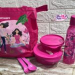 Lunch set Kotak(pink)